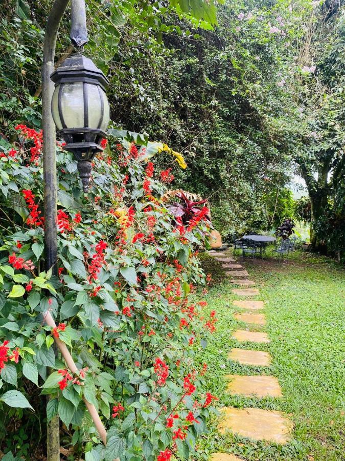 Finca Hotel Los Girasoles Montenegro Extérieur photo
